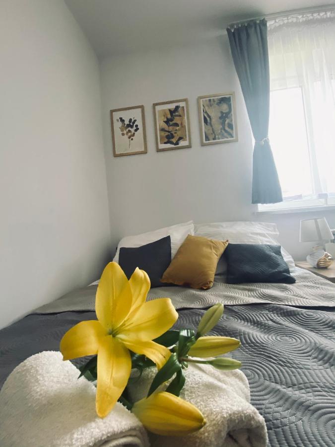 Apartamenty Majka Затор Экстерьер фото